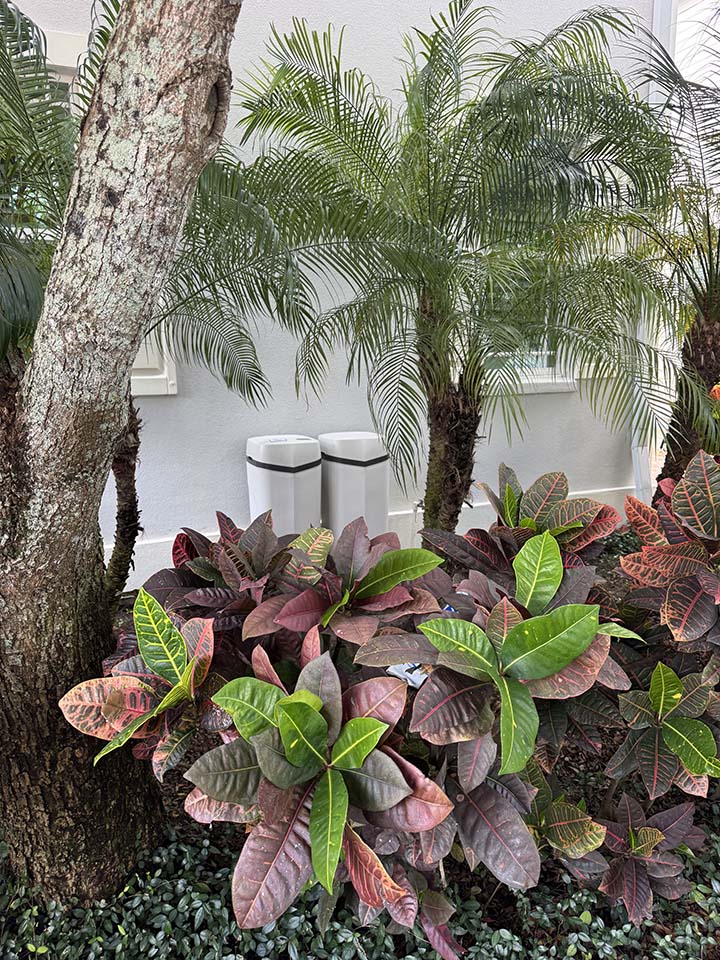 Hague Water Filtration Filters Sarasota Manatee County Near Me